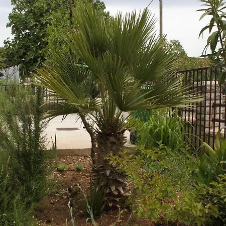 Appartement With A Parking Space Sukosan, Zadar - 6332 *