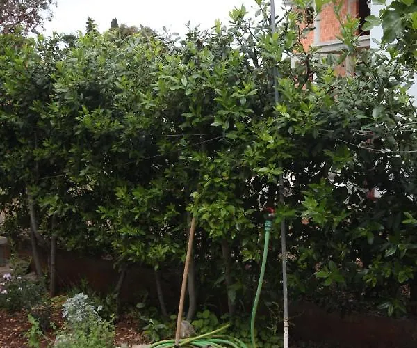 Appartamento With A Parking Space Sukosan, Zadar - 6332 Sukošan