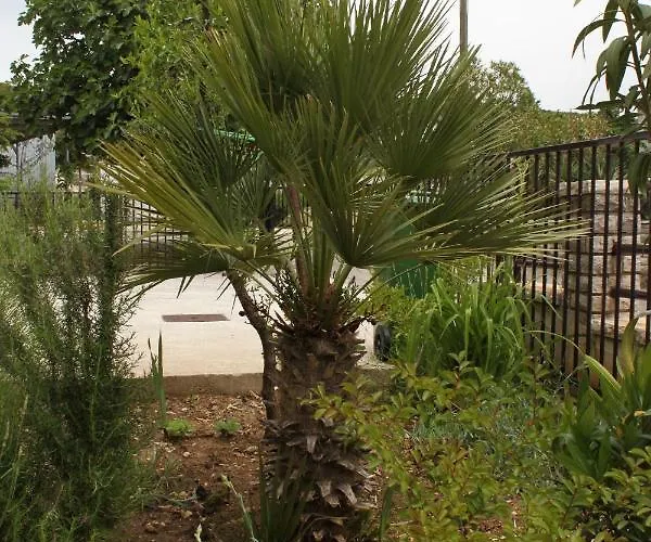 Apartman With A Parking Space Sukosan, Zadar - 6332 *